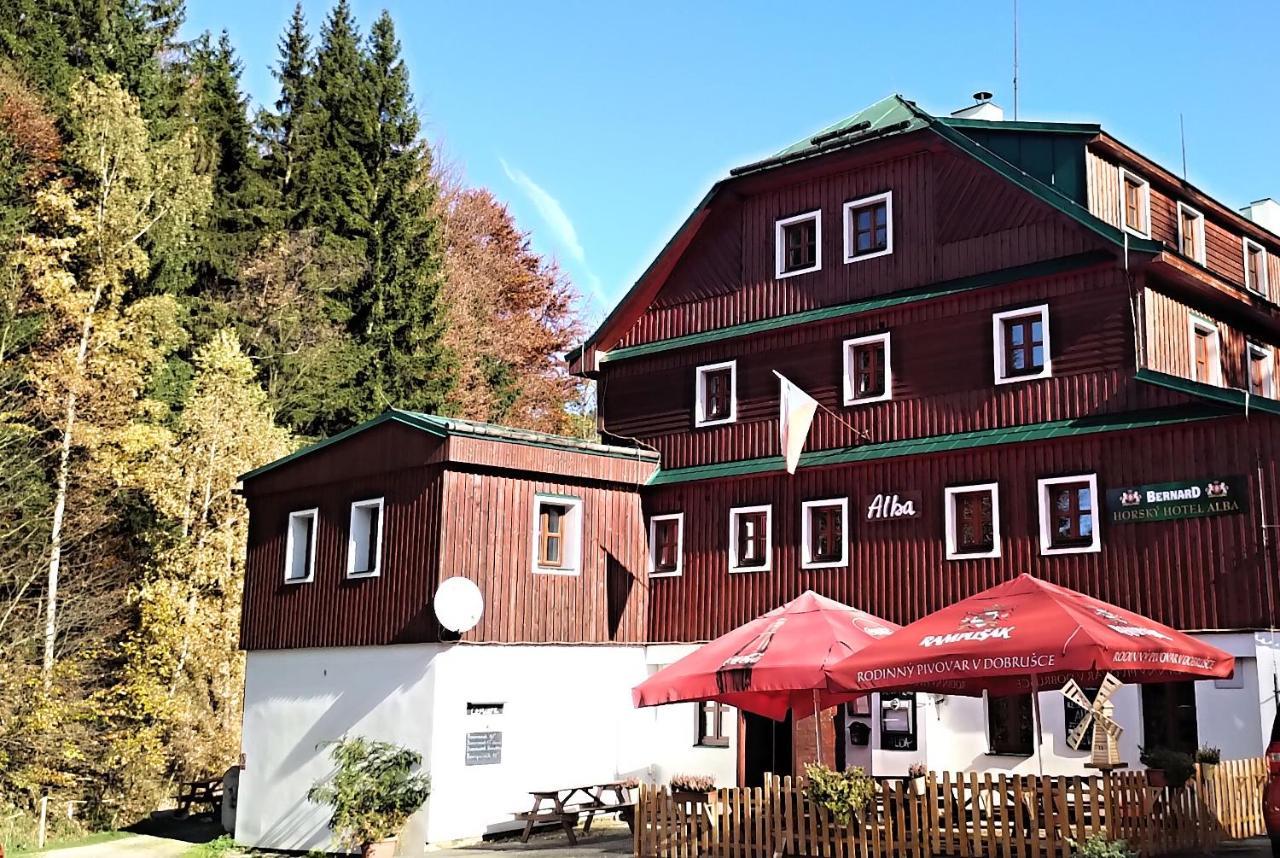 Hotel Alba Destne v Orlickych horach Eksteriør billede