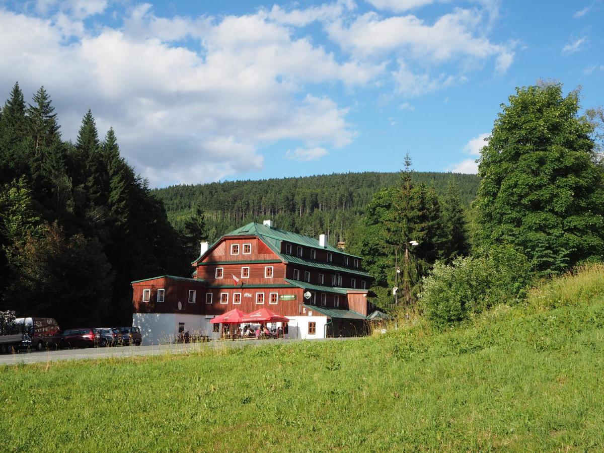 Hotel Alba Destne v Orlickych horach Eksteriør billede