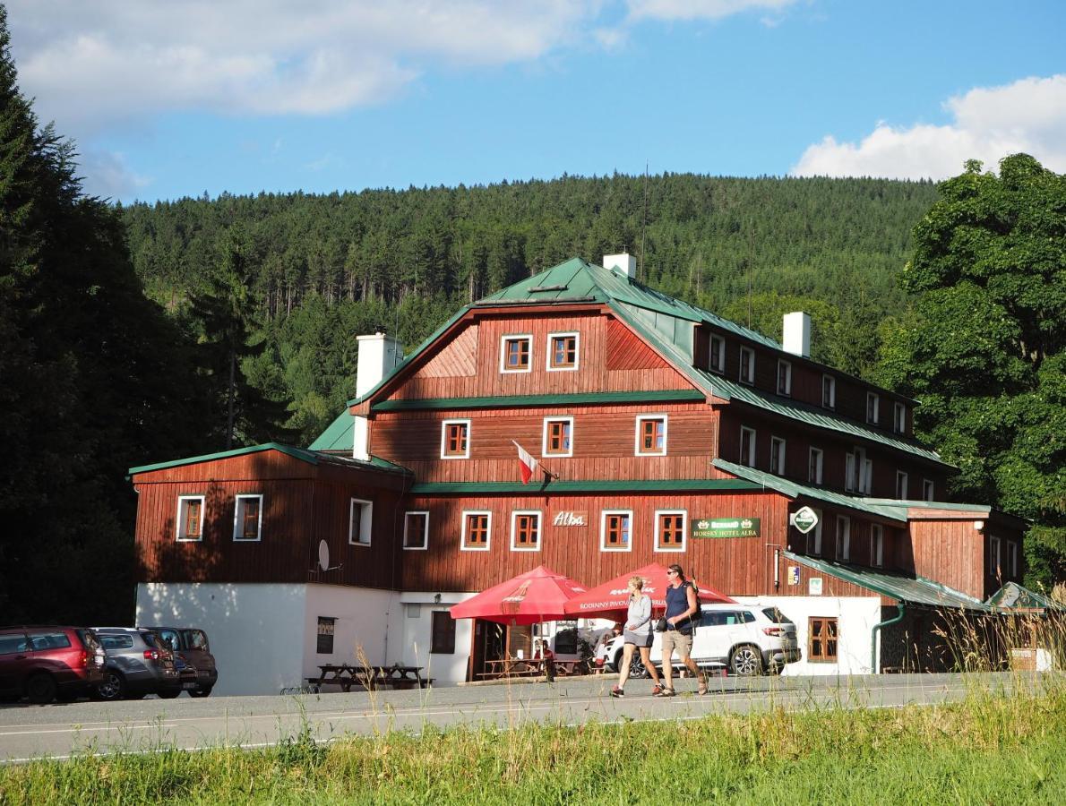 Hotel Alba Destne v Orlickych horach Eksteriør billede