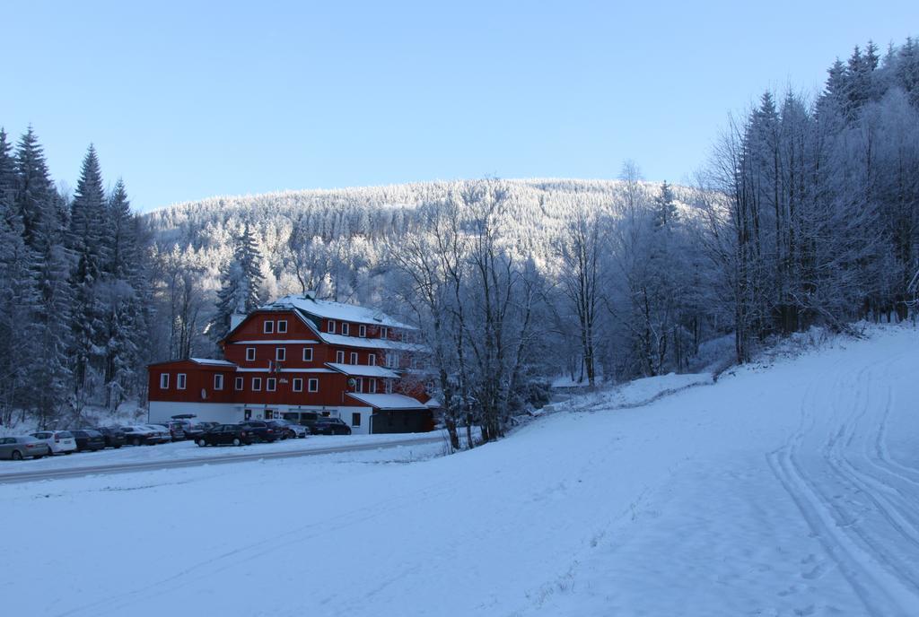 Hotel Alba Destne v Orlickych horach Eksteriør billede