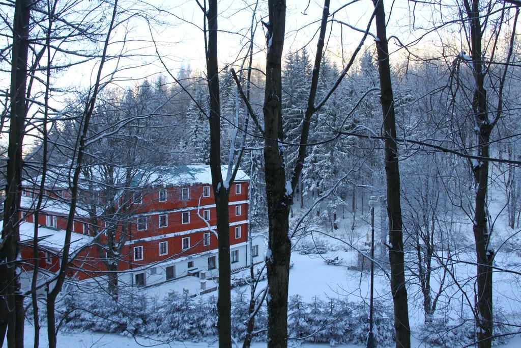 Hotel Alba Destne v Orlickych horach Eksteriør billede